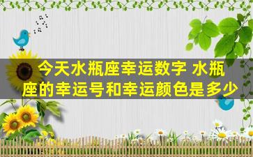 今天水瓶座幸运数字 水瓶座的幸运号和幸运颜色是多少